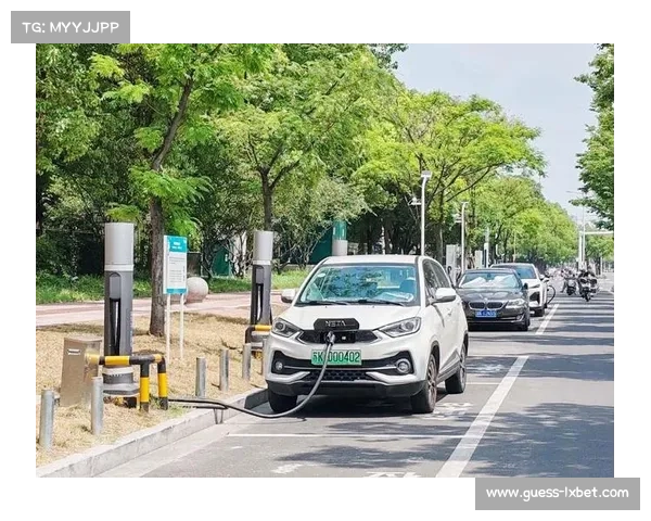 罗斯伯格投资电动汽车初创公司助力绿色出行产业创新与发展