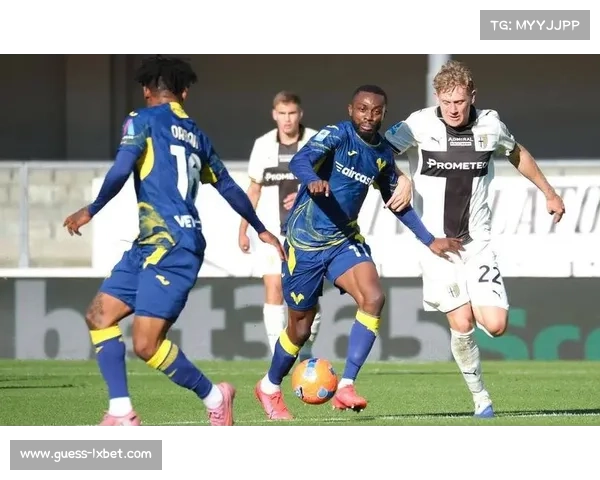 帕尔马2-1险胜维罗纳,佩莱格里诺补时绝杀助球队脱离降级区 帕尔马2-1险胜维罗纳,佩莱格里诺补时绝杀助球队脱离降级区